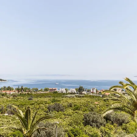 Voukamvilia Junior In Epidavros Shared Pool *